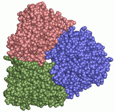 Image Asym./Biol. Unit - manually