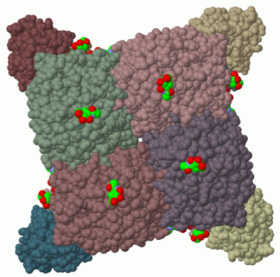 Image Biol.Unit 1 - manually