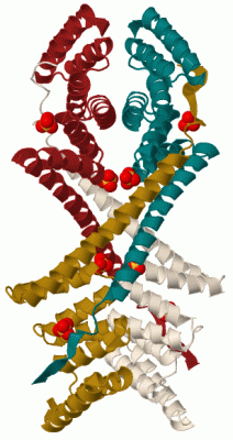 Image Biol.Unit 1 - manually