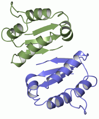 Image Asym./Biol. Unit - manually