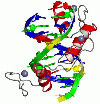 Image Asym./Biol. Unit - manually