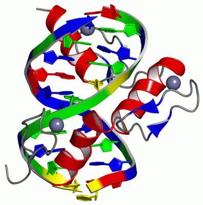 Image Asym./Biol. Unit - manually