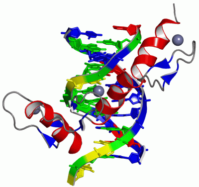 Image Asym./Biol. Unit - manually