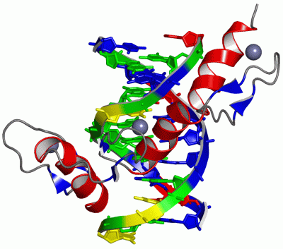 Image Asym./Biol. Unit - manually