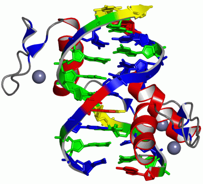 Image Asym./Biol. Unit - manually