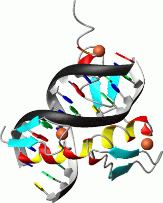 Image Asym./Biol. Unit - manually