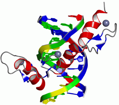 Image Asym./Biol. Unit - manually