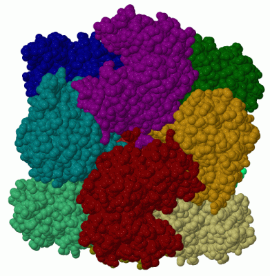 Image Biol.Unit 1 - manually