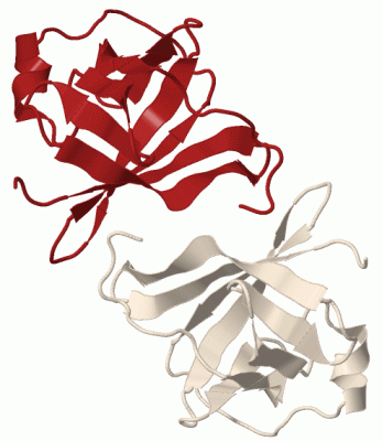 Image Biol.Unit 1 - manually