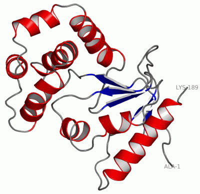 Image NMR Structure - manually