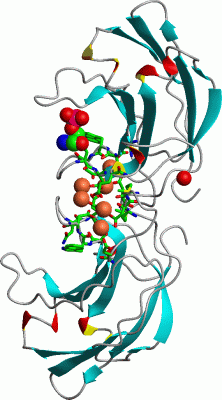 Image Asym./Biol. Unit - manually