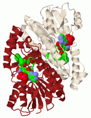 Image Biol.Unit 1 - manually