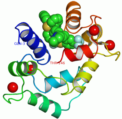 Image Asym./Biol. Unit - manually