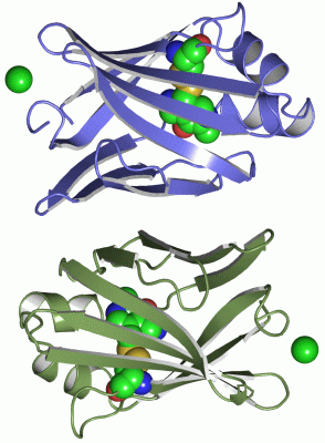 Image Asym./Biol. Unit - manually