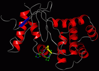 Image Asym./Biol. Unit - manually