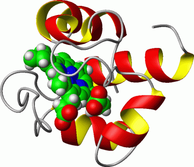 Image NMR Structure - manually