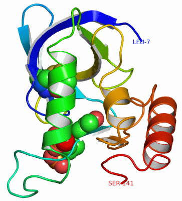 Image Asym./Biol. Unit - manually