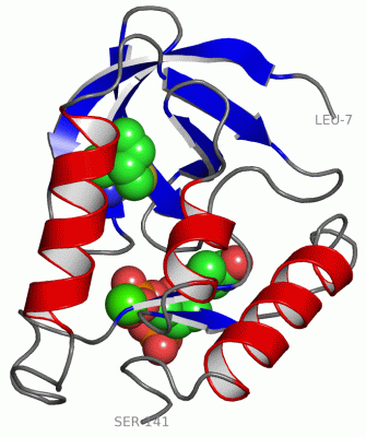 Image Asym./Biol. Unit - manually