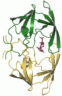 Image Asym./Biol. Unit - manually