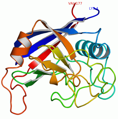 Image Asym./Biol. Unit - manually