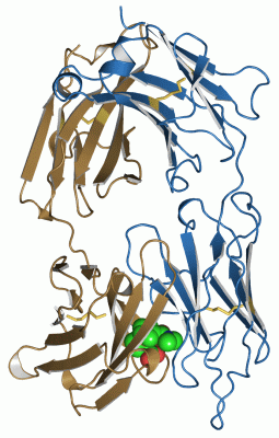 Image Asym./Biol. Unit - manually