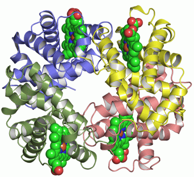 Image Asym./Biol. Unit - manually