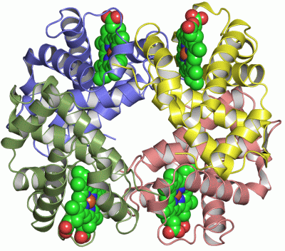 Image Asym./Biol. Unit - manually