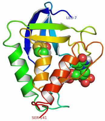 Image Asym./Biol. Unit - manually