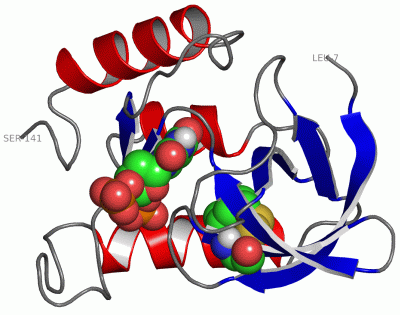 Image Asym./Biol. Unit - manually