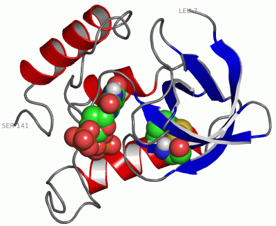 Image Asym./Biol. Unit - manually