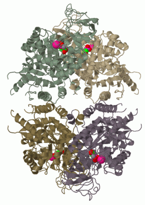 Image Biol.Unit 1 - manually