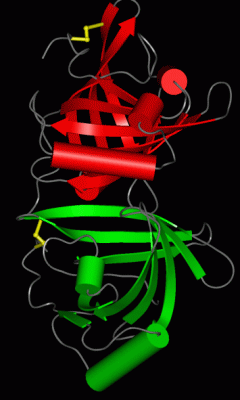 Image Asym./Biol. Unit - manually