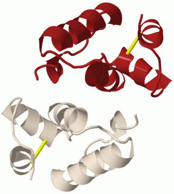 Image Biol.Unit 1 - manually