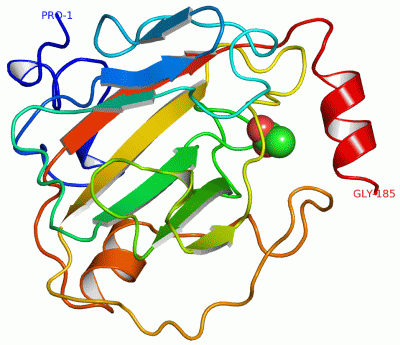 Image Asym./Biol. Unit - manually