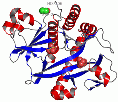 Image Asym./Biol. Unit - manually