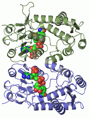 Image Asym./Biol. Unit - manually