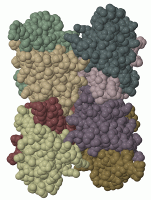 Image Biol.Unit 1 - manually