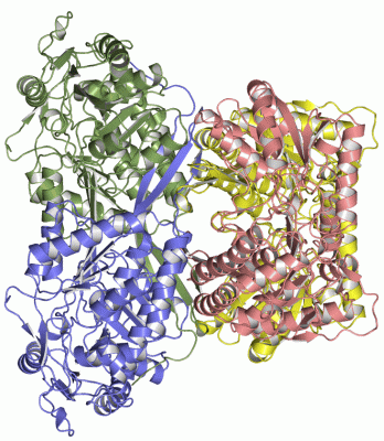 Image Asym./Biol. Unit - manually