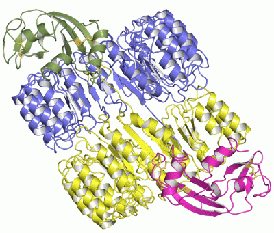 Image Asym./Biol. Unit - manually