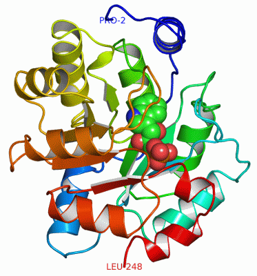 Image Asym./Biol. Unit - manually