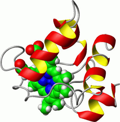 Image NMR Structure - manually