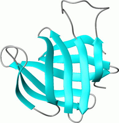 Image NMR Structure - manually