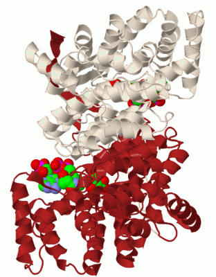 Image Biol.Unit 1 - manually