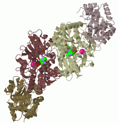 Image Biol.Unit 1 - manually