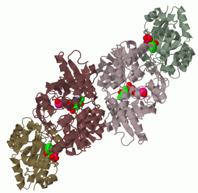 Image Biol.Unit 1 - manually