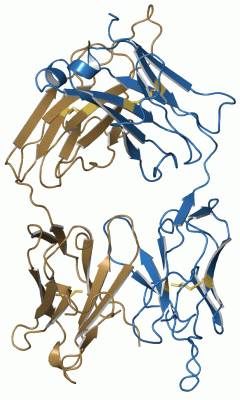 Image Asym./Biol. Unit - manually