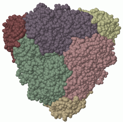 Image Biol.Unit 1 - manually