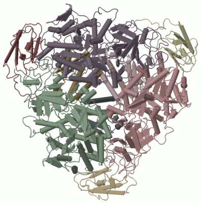 Image Biol.Unit 1 - manually