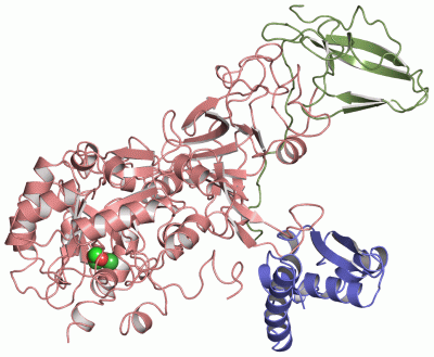 Image Asym.Unit - manually