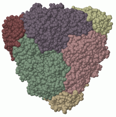 Image Biol.Unit 1 - manually